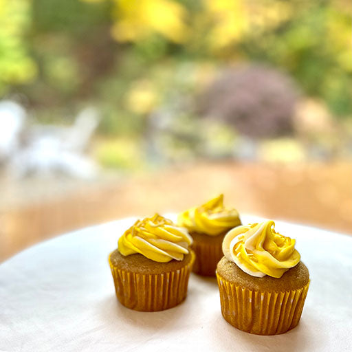 Lemon Cupcakes (2 Frosting Choices)